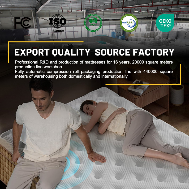 ที่นอนเมมโมรี่โฟมแบบพ็อกเก็ตสป - Memory Foam Mattress In A Box Queen บทวิจารณ์และราคา